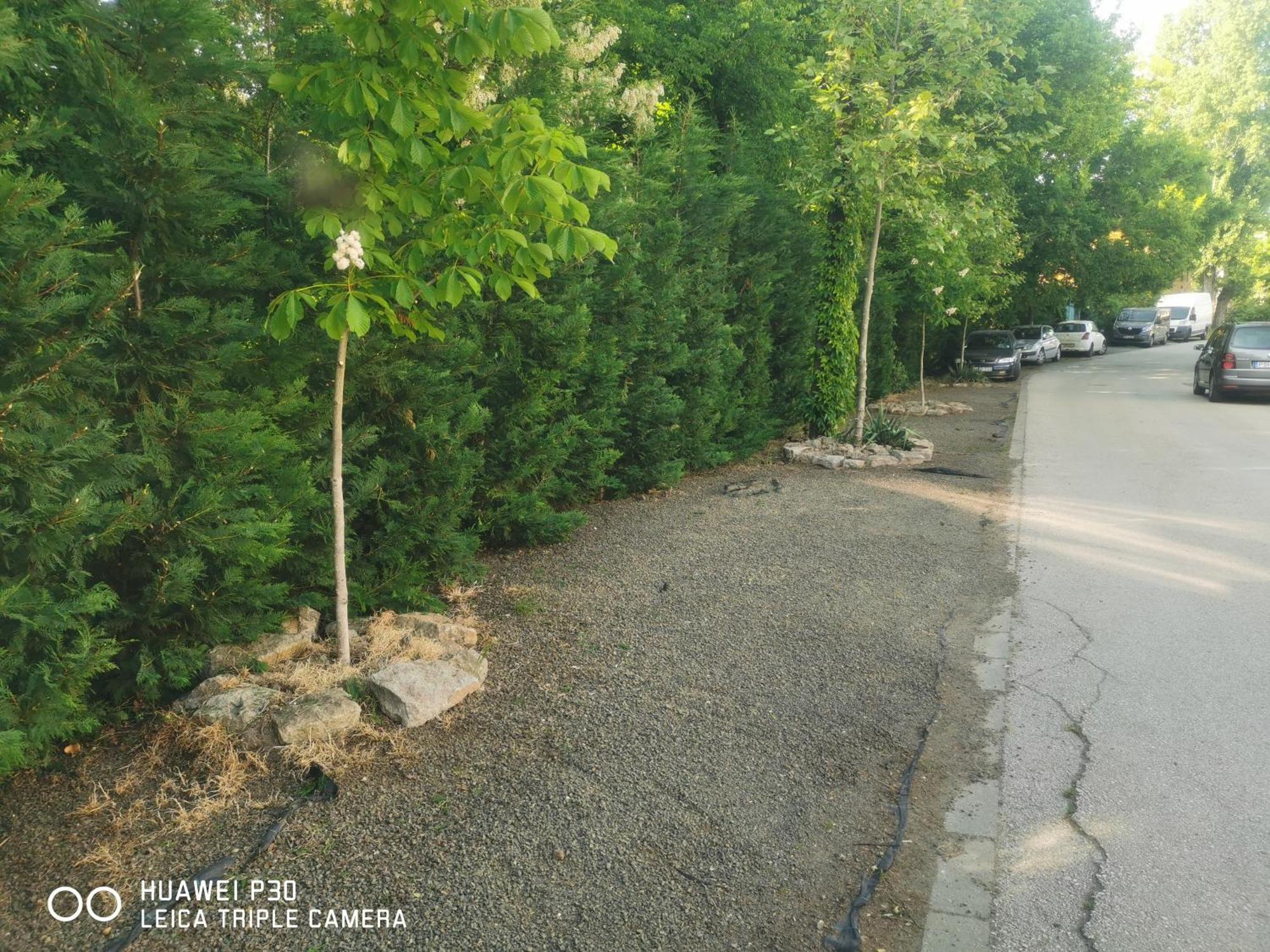 Kuria Apartman With Private Jacuzzi And Pool Budapeşte Dış mekan fotoğraf