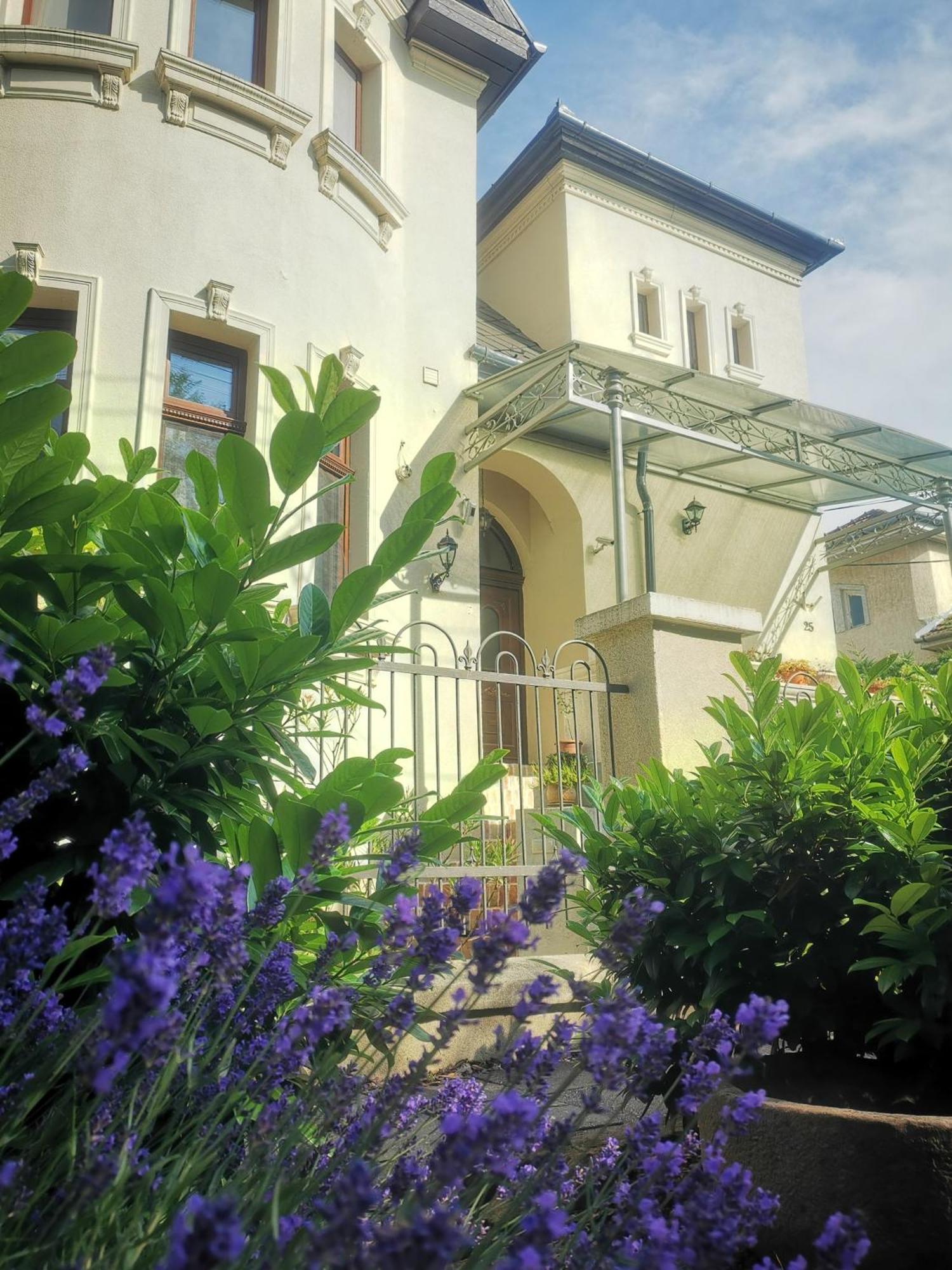 Kuria Apartman With Private Jacuzzi And Pool Budapeşte Dış mekan fotoğraf