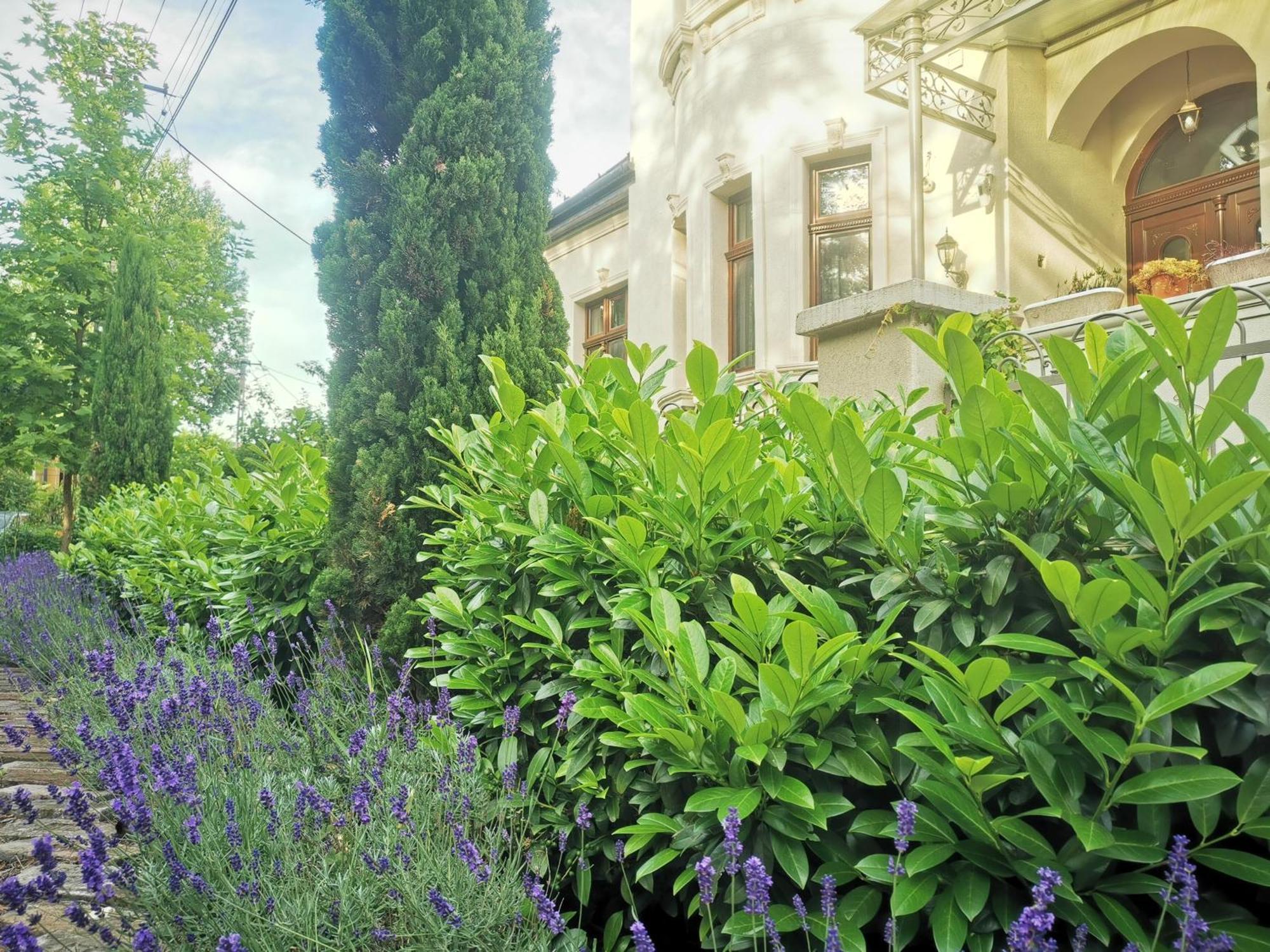 Kuria Apartman With Private Jacuzzi And Pool Budapeşte Dış mekan fotoğraf